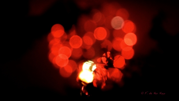 Dans les feux du 14 juillet